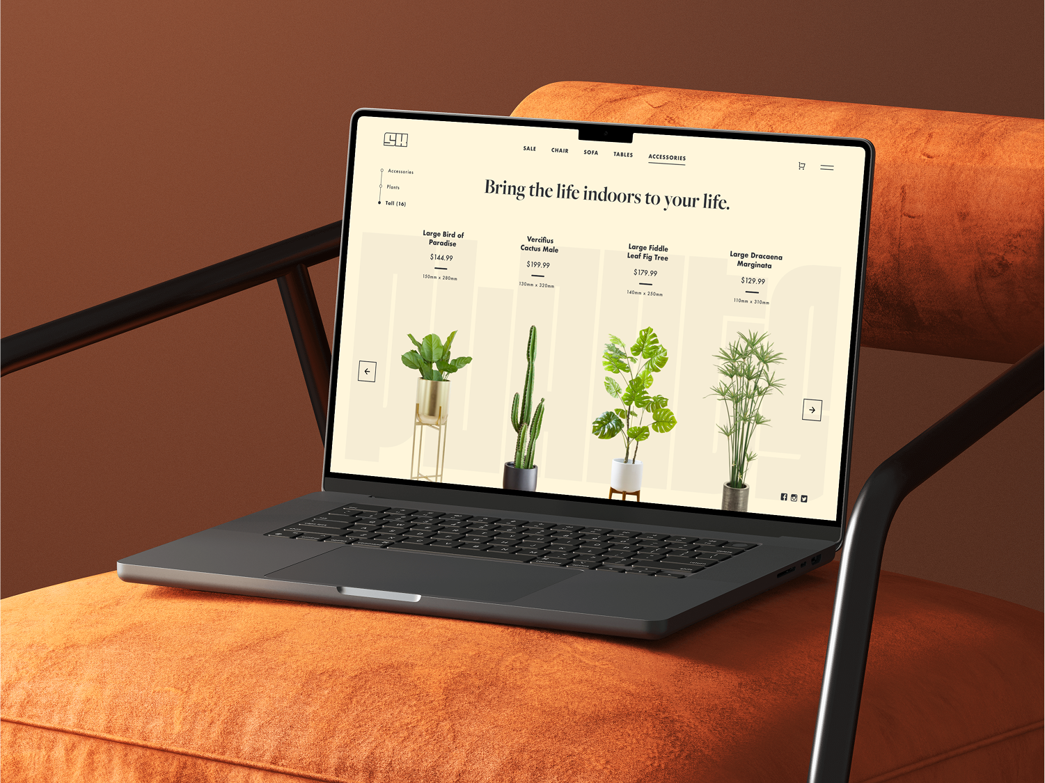 Sofa King Shopify Template