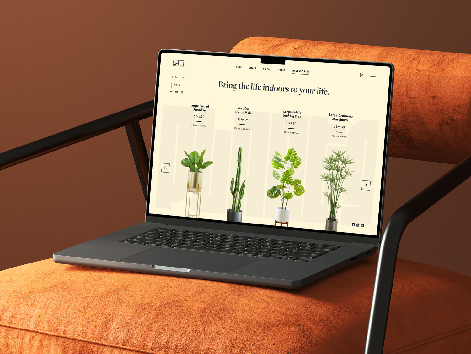 Sofa King Shopify Template — Branding & E-commerce