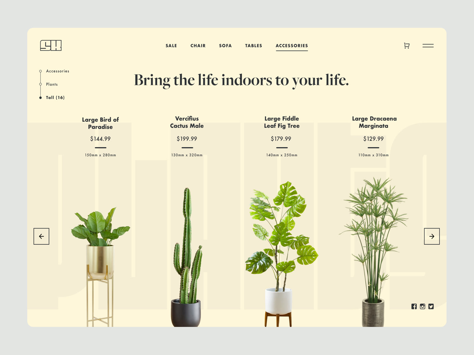 Sofa King Shopify Template — Branding & E-commerce